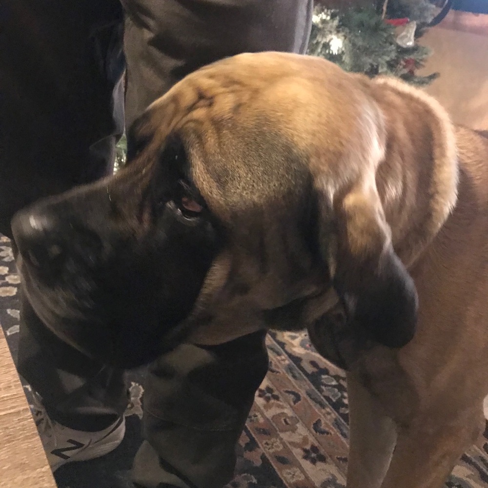 Meet your Posher, Kathleen